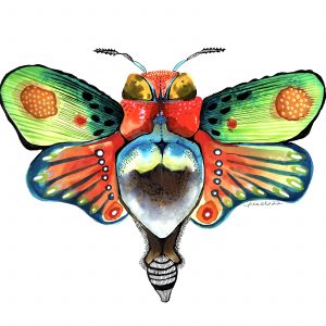 La cigale et le papillon